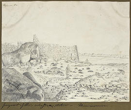 George A. Hoskins Drawing - Thebes. West Bank. Ramesseum