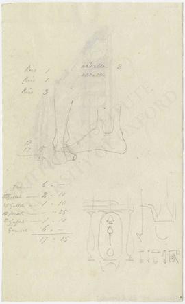 Sketches of feet, partial Egyptian scene with cartouche of Psammetikhos II (Neferibra) and variou...