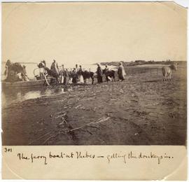[301] The ferry boat at Thebes - getting the donkeys in.
