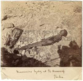 [312] Mummies lying at El Assassif. Thebes.