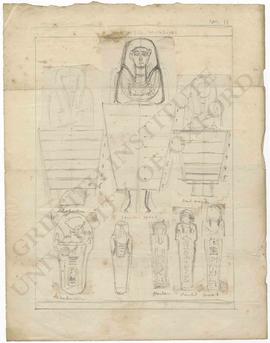 Eight sketches of shabtis in Dr Lee's collection