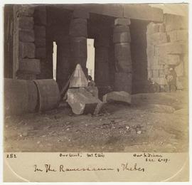 [282] In The Ramesseum, Thebes