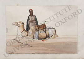 Bilbeis, man with recumbent camel
