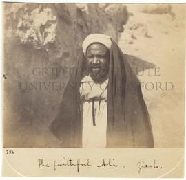 [386] The faithful Ali. Gizeh.