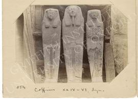 [854] Coffins XXIV-VI dyn.