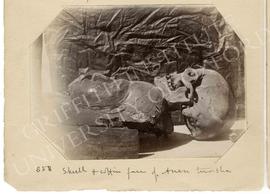 [858] Skull & coffin face of Anen tursha
