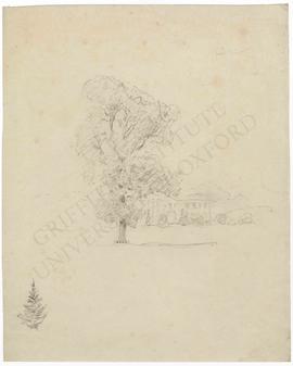 Landscape with house and tree, and sketch of tree