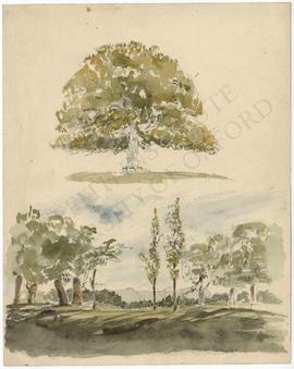 Tree, and landscape with trees