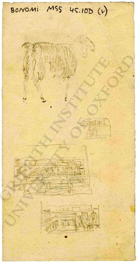 Sketches of sheep and urban landscape, probably ancient Egyptian temple