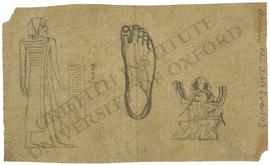 [Left] Chief from Canaan, with hieroglyphic inscription, not identified. [Centre] Study of foot