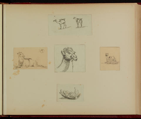 Original Digital object not accessible