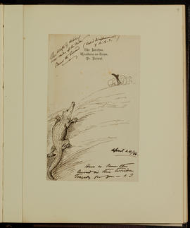 Woman and crocodile
