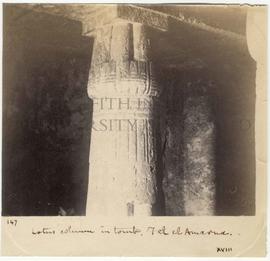 [147] Lotus column in tomb, Tel el Amarna. XVIII