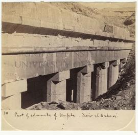 [311] Part of collonade of temple. Deir el Bahari.