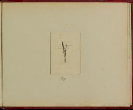 Sistrum