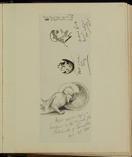 Dying Aegena warrior; 'owl vase' from Troy; Greek head