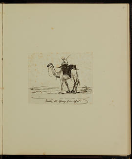 Camel and male figure