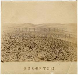 [380] Desertum.
